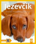 Jezevčík Leni