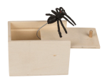 Ootb.de Krabička s pavoukem