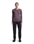 Dámské merino triko dlouhý rukáv ICEBREAKER Wmns Merino 150 Ace LS Tee, Grey Plum velikost: M