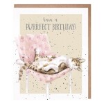 Narozeninové přání Wrendale Designs Tabby Birthday - Kočka