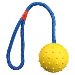 Trixie Míček hrbolatý na šňůrce 6cm/30cm