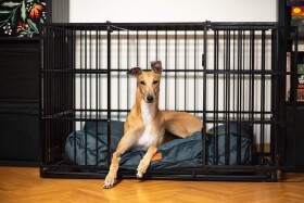 Tender matrace se snímatelným potahem Barva: Tmavě-zelená, Rozměr (cm): 110 x 90