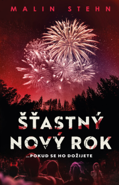 Šťastný nový rok - Malin Stehn - e-kniha