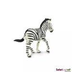 Safari Ltd. Safari Ltd. Mládě zebry