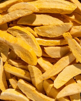 Vilgain Lyofilizované mango – 250 g
