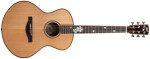 Henry`s Travel EE-66 Street - Natural A-Stock