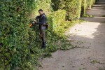 Aku nůžky na živý plot STIHL HSA 130 T