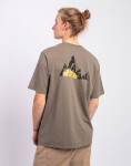 Tričko Patagonia M's Berm Logo Responsibili-Tee Wing Grey