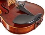 Eastman Rudoulf Doetsch Violin 4/4 (VL701G )