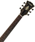 D'Angelico Excel Gramercy Mahogany Burst