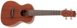 Ibanez UKC100 Natural