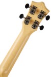 Flight TUS-55 Acacia