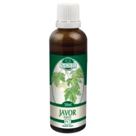 Javor Babyka (P17)