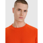 Pánská mikina s kapucí 4F 4FRSS25TSWSM2179-70S pánské L