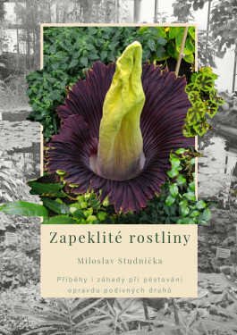Zapeklité rostliny - Miloslav Studnička