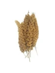 AnimALL Senegalské proso žluté 200 g (112255)