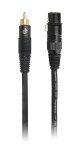 Bespeco EAXFR150