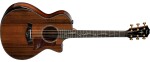 Taylor PS12ce