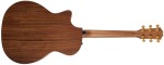 Taylor AD14ce 50th Anniversary