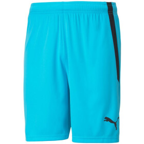 Šortky Puma teamLIGA M 704924 40 L