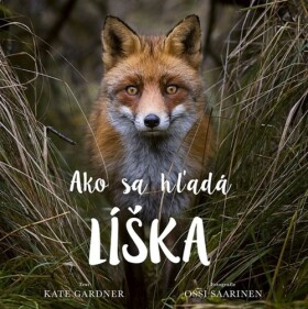 Ako sa hľadá líška - Kate Gardner