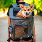 Alley šedý batoh pro psa do 10 kg Barva: Šedá, Dle váhy psa: do 6 kg