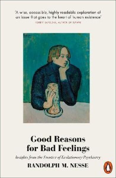 Good Reasons for Bad Feelings