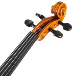 Violin Schönbach Golden