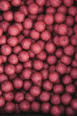 DK Fishing Boilies Power Attract jahoda / Boilies / 5 kg / 24 mm (DK1113)