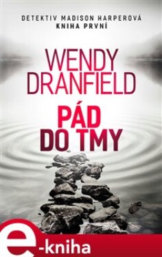 Pád do tmy - Wendy Dranfield e-kniha