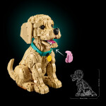LEGO LEGO® Icons 11384 Štěně zlatého retrívra