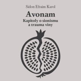 Avonam: Kapitoly o sionismu a trauma viny - Efraim K. Sidon