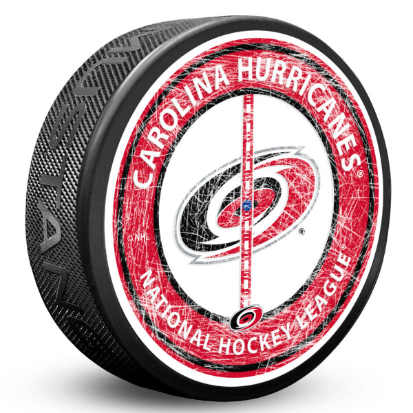 Mustang Puk Carolina Hurricanes NHL Center Ice