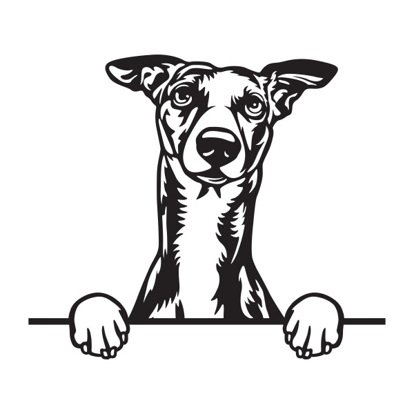 Whippet 2 dřevěná dekorace na zeď Rozměr (cm): 38 x 26