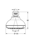 GROHE - Tempesta New Hlavová sprcha 100, 1 proud, chrom 26050001