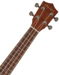 Bamboo U-23 TERRA-S