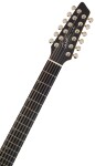 Godin A12 Black HG