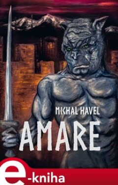 Amare - Michal Havel e-kniha
