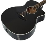 Taylor 214ce-BLK DLX (rozbalené)