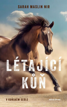 V koňském sedle: Létající kůň - Sarah Maslin Nir