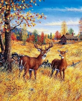 Diamantové malování Jeleni na poli 30x40cm