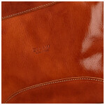 Módní dámská kožená kabelka na rameno Delami Vera Pelle Darlin, koňaková