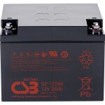 CSB Battery EVX12170 olověný akumulátor 12 V 17 Ah olověný se skelným rounem (š x v x h) 181 x 167 x 76 mm šroubované M5