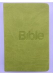 Bible, překlad 21. století (Green) - Alexandr Flek