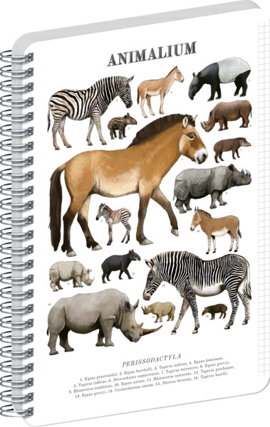 Spirálový blok Animalium - Lichokopytníci, čtverečkovaný, A5