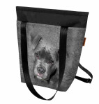 Bertoni Batoh/taška 2v1 Pit Bull Grey 29 cm x 38 cm x 36 cm x 10 cm