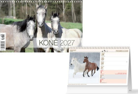 Kalendář 2027 stolní Koně