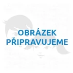2KIDS TOYS 3D dřevěná magnetka Památky Prahy