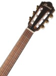 Ibanez FRH10N-BSF