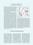 Falklandy - Jean-Yves Delitte, Marco Bianchini